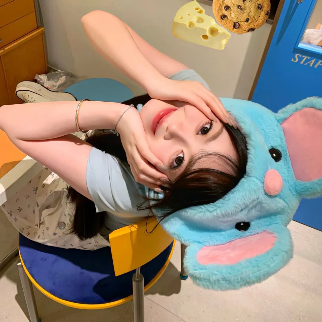 宝贝赳赳第五季